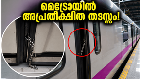 ബംഗളൂരു മെട്രോയിൽ അപ്രതീക്ഷിത തടസ്സം; പർപ്പിൾ ലൈനിൽ യാത്രക്കാർ വലഞ്ഞത് ഒരു ചെറിയ മാല കാരണം!