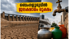 ബെംഗളൂരുവിൽ കുടിവെള്ളത്തിന് കടുത്ത ക്ഷാമം; കെആർഎസ് അണക്കെട്ടിലെ ജലനിരപ്പ് മൂന്ന് വർഷത്തെ ഏറ്റവും താഴ്ന്ന നിലയിൽ!