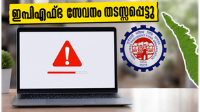 ഇപിഎഫ്ഒ പോർട്ടൽ ഇന്ന് പണിമുടക്കും: പിഎഫ് വരിക്കാർ അക്കൗണ്ട് പരിശോധിക്കാൻ തിരക്ക് കൂട്ടേണ്ട!