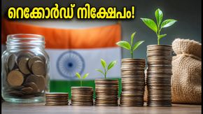 മ്യൂച്വൽ ഫണ്ട് നിക്ഷേപത്തിൽ റെക്കോർഡ് കുതിപ്പ്; ജൂലൈയിലെ കണക്കുകൾ നിക്ഷേപകർക്ക് നൽകുന്ന മുന്നറിയിപ്പ് ഇതാ
