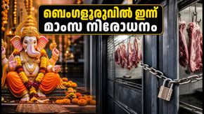 ബെംഗളൂരുവിൽ ഇന്ന് മാംസ നിരോധനം; അറിയേണ്ടതെല്ലാം, ഹെൽപ്‌ലൈൻ നമ്പറുകൾ ഇതാ