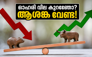 എൽഐസി ഓഹരി വില കുത്തനെ കുറഞ്ഞോ? നിക്ഷേപകർ പരിഭ്രാന്തരാകും മുൻപ് അറിയേണ്ട ആ സത്യം ഇതാ!