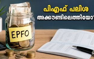 ഇപിഎഫ്ഒ പലിശ അക്കൗണ്ടിലെത്തിയോ? ബാലൻസ് പരിശോധിക്കാനും തുക ലഭിച്ചില്ലെങ്കിൽ ചെയ്യേണ്ടതും ഇതാ