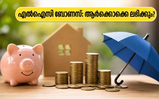 എൽഐസി പോളിസി ഉടമകൾക്ക് വമ്പൻ നേട്ടം; FY26-ലെ റെക്കോർഡ് ബോണസ് ആർക്കൊക്കെ ലഭിക്കും? അറിയേണ്ടതെല്ലാം!