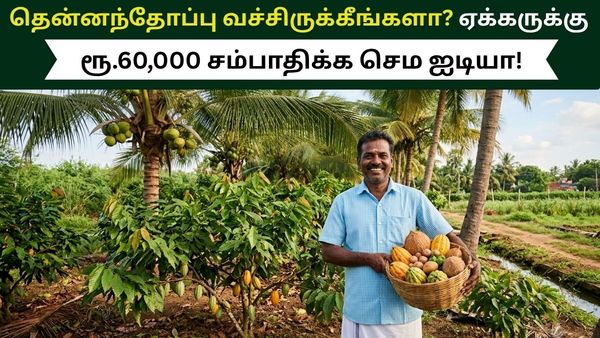 தென்னந்தோப்பு வச்சிருக்கீங்களா? கூடுதலாக ஏக்கருக்கு ரூ.60,000 சம்பாதிக்க அசத்தலான ஐடியா!