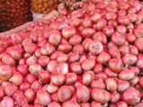 வெங்காயம் ஒரு கிலோ 40 ரூபாய்.. அட உண்மையாகத் தான்..!