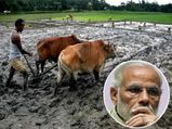 தமிழக விவசாயிகளை சென்றடையாத ஃபசல் பீமா யோஜனா..? தமிழகத்தில் பயிர் காப்பீட்டின் நிலை என்ன..?