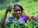பெண்கள் தின ஸ்பெஷல்..! 