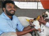பல லட்சம் சம்பளத்தை விட்டுதள்ளி ஆடு மேய்க்க வந்த இந்திய விஞ்ஞானி..!