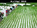 பட்ஜெட் 2019: உணவு மானியம், விவசாயிகளுக்கு சலுகை, பணஉதவி - எதிர்பார்ப்புகள் நிறைவேறுமா