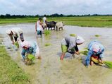  என்னாது ஒரு விவசாயிக்கு 2000  ரூபாயா..  ஒரு விவசாய குடும்பத்துக்கு தாம்ப்பா 2000!!