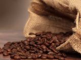 இந்தியாவின் 14 பொருட்களுக்கு புதிய புவிசார்க் குறியீடு..! 
