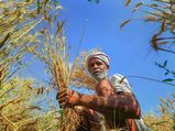விவசாயிகளை ஆதரிக்க இறக்குமதி வரி 10% அதிகரிப்பு.. மகிழ்ச்சியில் விவசாயிகள்