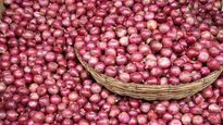 இப்போதைக்கு குறையாது வெங்காயம் விலை.. பிப்ரவரி வரை ஏற்றுமதி தடையை நீடிக்க திட்டம் 