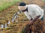 சாமானியர்களுக்கு என்ன சலுகை.. நிதியமைச்சர் என்ன சொல்கிறார்..! 