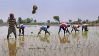 வேளாண் பட்ஜெட் 2021: விவசாயிகள் கேட்பது என்ன..? 