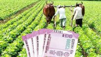  விவசாயிகளின் மாத வருமானம் 10,218 ரூபாயாக உயர்வு..!