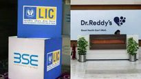 LIC வாங்கிய மருந்து பங்கு..  உங்க போர்ட்போலியோவிலும் இருக்கா..கொஞ்சம் பாருங்க! 