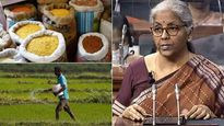 Budget 2023:உணவு, உரம், எரிபொருள் மீதான ,மானியங்கள் குறைக்கப்படலாம்.. அப்படி நடந்தால் என்னவாகும்? 