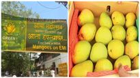 EMI-யில் மாம்பழங்கள் விற்பனை.. விலை உயர்வால் வந்த புதிய ஐடியா..! 