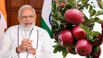 ஆப்பிள் இறக்குமதிக்கு மோடி அரசு வைத்த செக்..! 