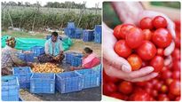 வெறும் 45 நாட்களில் 4 கோடி ரூபாய்.. முரளி-க்கு அடித்த ஜாக்பாட்..! 