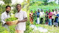 ஐடி வேலையை விட்டுவிட்டு ஆர்கானிக் விவசாயத்தில் கலக்கும் கேரள இளைஞர்கள்