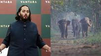 Vantara: அனந்த் அம்பானி அப்படி என்னதான் செய்கிறார்.. ஊரே இதை பத்திதான் பேச்சு..! 