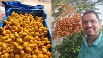 மழைநீரில் ஆர்கானிக் பேரீட்சம் பழம் சாகுபடி செய்து லட்சக்கணக்கில் சம்பாதிக்கும் முன்னாள் கமாண்டோ வீரர் 