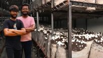 காளான் வளர்ப்பில் தினமும் ரூ.2 லட்சம் சம்பாதிக்கும் சாப்ட்வேர் சகோதரர்கள்..!