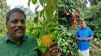 லட்சக்கணக்கில் சம்பாதிக்கும் கேரளா இன்ஜினியர் விவசாயி.. ரப்பர் டூ எக்சாடிக் பழங்கள்..!  