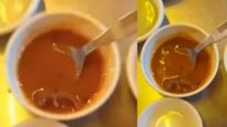  சாப்பாட்டில் எலி.. தோசை சாப்பிட சென்றவருக்கு பரிமாறப்பட்ட அசைவ சாம்பார்! வெளியான அதிர்ச்சி வீடியோ!