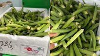  ரூ.650-க்கு விற்கப்படும் 1 கிலோ வெண்டைக்காய்.. எங்கே தெரியுமா? ஷாக் கொடுக்கும் வீடியோ!