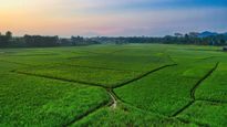 கர்நாடக அரசுக்கு சொந்தமாக 1.40 கோடி ஏக்கர் நிலம் உள்ளதாம்.. வாவ்..!