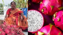  உரமில்லா விவசாயம் தெரியும்.. அதென்ன மண்ணில்லா விவசாயம்? டிராகன் பழ சாகுபடியில் அசத்தும் பெண்! ஆஹா!