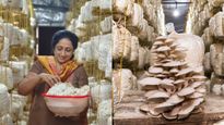  பொழுதுபோக்காக தொடங்கப்பட்டு ரூ.90 லட்சம் வருமானம் தரும் தொழிலாக மாறிய காளான் வளர்ப்பு..!