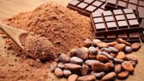 முற்பகல் செய்யின் பிற்பகல் விளையும்: நாம செஞ்ச பெரிய தப்பு.. உலகத்துல சாக்லேட்டே இல்லாம போக போகுது!