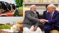 அடம் பிடிக்கும் அமெரிக்கா..ஏற்க மறுக்கும் இந்தியா..வர்த்தக பேச்சுவார்த்தையில் தடையாக இருக்கும் Non Veg பால்