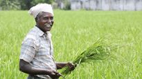 பட்ஜெட் 2026 : விவசாயிகளுக்கான நிதியுதவி ரூ.6000இல் இருந்து ரூ.10,000ஆக உயர்த்தப்படுகிறதா?