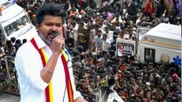 அட டிகிரி முக்கியமே இல்லை.. டிசிப்ளின் தான் முக்கியம்! தவெக தலைவர் விஜய்யின் எஜுகேஷன் என்ன தெரியுமா?