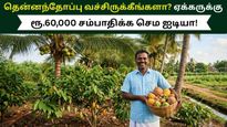 தென்னந்தோப்பு வச்சிருக்கீங்களா? கூடுதலாக ஏக்கருக்கு ரூ.60,000 சம்பாதிக்க அசத்தலான ஐடியா!