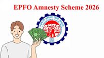 EPFO அம்னெஸ்டி திட்டம்: நிறுவனங்களுக்கு அருமையான வாய்ப்பு! லீகல் பிராப்ளத்திலிருந்து தப்பிக்க சூப்பரான வழி!