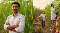 முருங்கை விவாசத்தில் கொட்டி கிடக்கும் லாபம்.. ஆண்டுக்கு ரூ.1.15 கோடி டர்ன்ஓவர் செய்யும் விவசாயி!