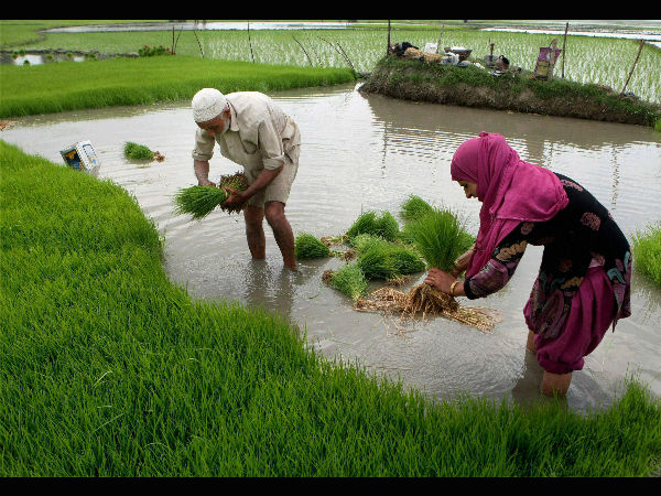 ஒரே ஒரு ஆறுதல்