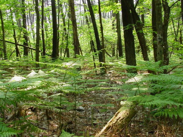 சுற்றுச்சூழல் மிகவும் முக்கியம்!!