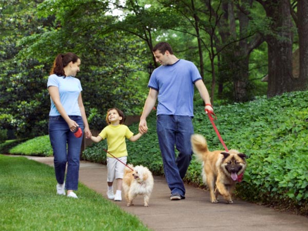 குடும்ப பட்ஜெட்