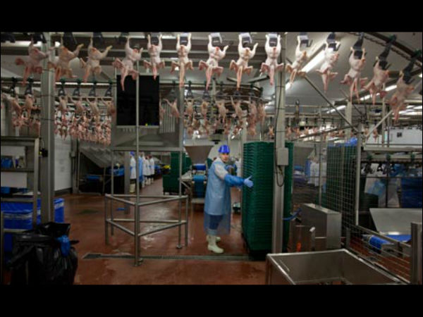 உணவு ஆராய்ச்சிக் கூடம்