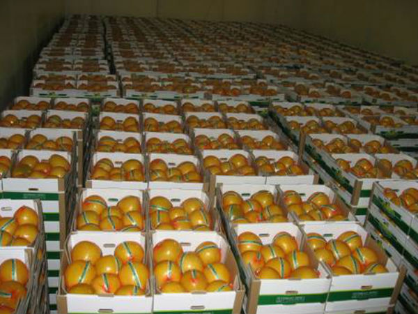 ஏற்றுமதி