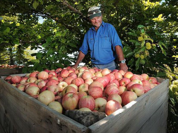 விவசாயிகளின் எண்ணிக்கை