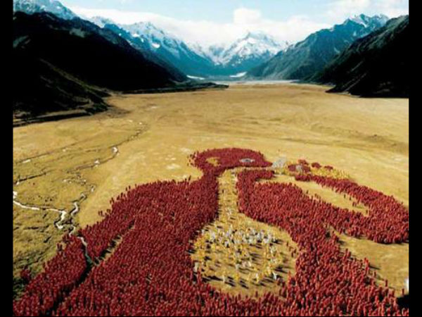 கார்ல்டன் டிராட் பீர்